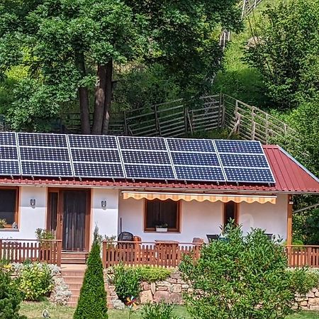 Ferienhaus Manoury Am Klosterbrunnen Waldeck  Zewnętrze zdjęcie