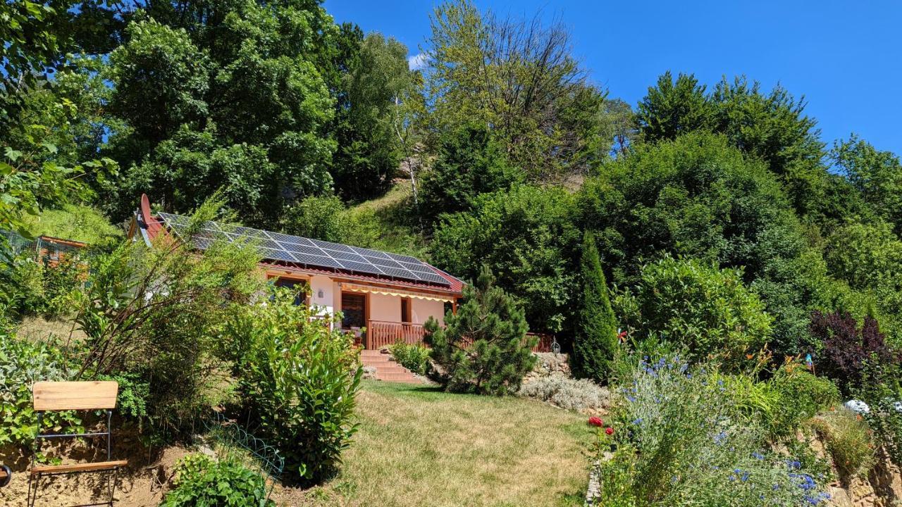 Ferienhaus Manoury Am Klosterbrunnen Waldeck  Zewnętrze zdjęcie